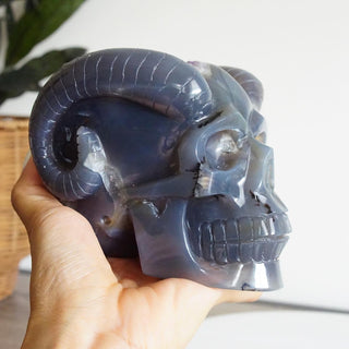 Druzy Amethyst Agate Skull with horns