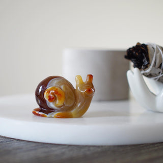 Carnelian Snail Carving